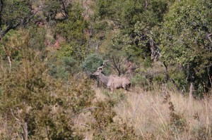 IMG_3057